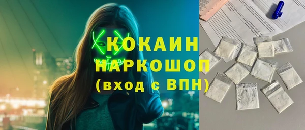 индика Гусиноозёрск