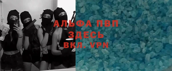 индика Гусиноозёрск
