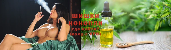 apvp Вяземский