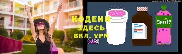 индика Гусиноозёрск