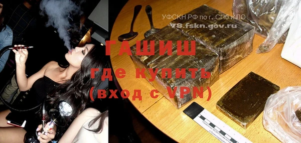 индика Гусиноозёрск