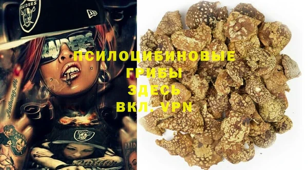 прущая мука Горняк