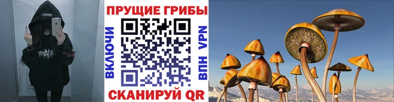 Псилоцибиновые грибы прущие грибы Северо-Курильск