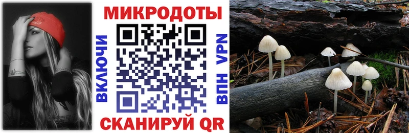 Купить где  Северо-Курильск  Псилоцибиновые грибы Magic Shrooms 